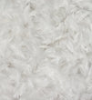 Kopfkissen Prien in Weiß aus 85% Entenfedern & 15% Entendaunen & 100% Entendaunen & 100% Baumwolle | Entdecken Sie unsere schönsten Wohnaccessoires